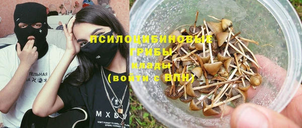 дурь Новокубанск