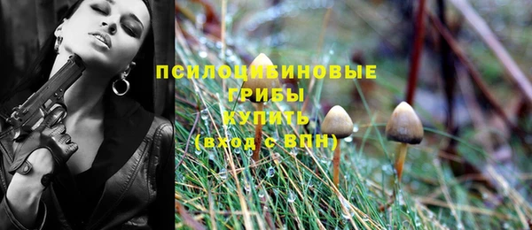винт Нефтегорск